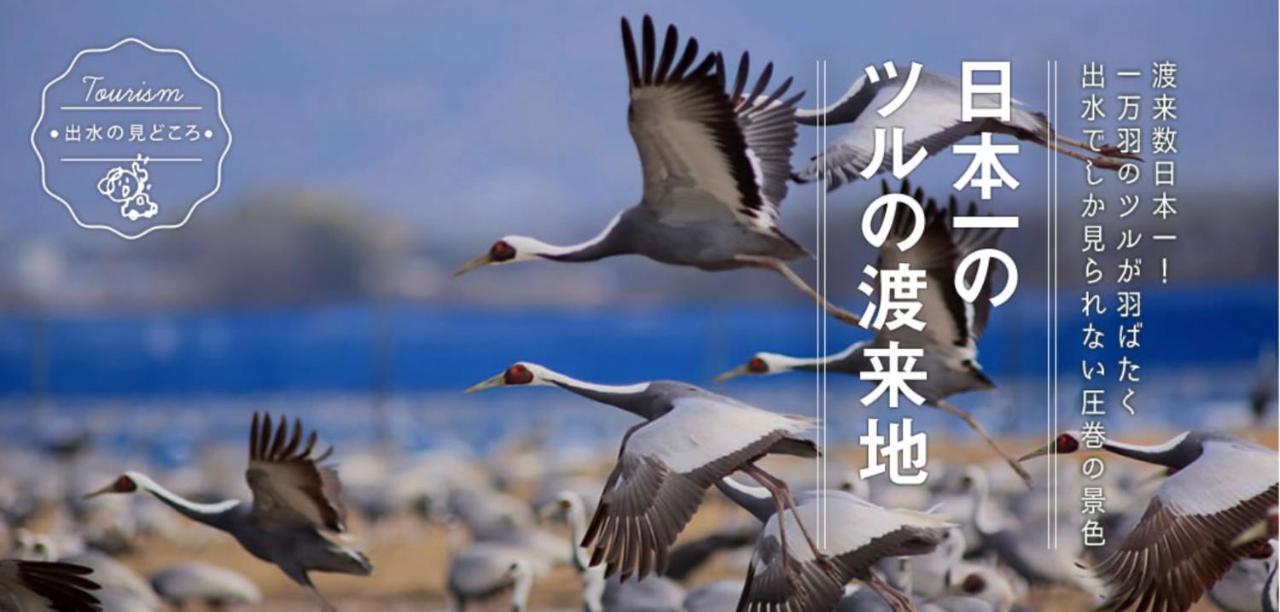 カモンイン 寿 Izumi  Экстерьер фото
